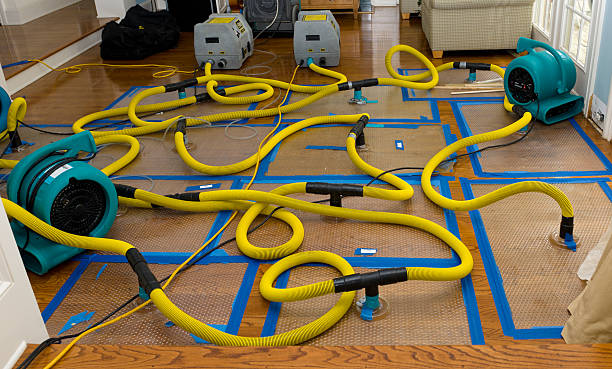 Professional Water Damage Repair technician working in Mcbrides, MI
