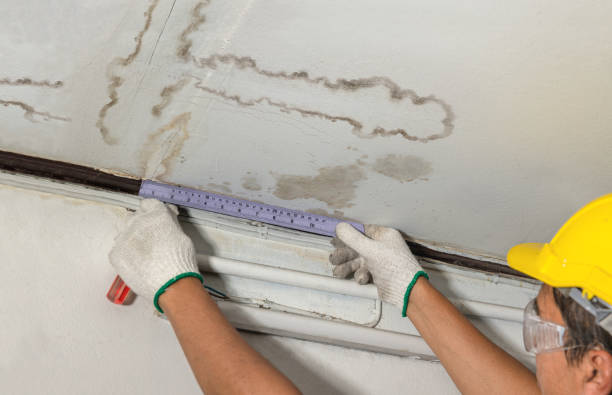 Affordable Water Damage Repair solutions in Mcbrides, MI